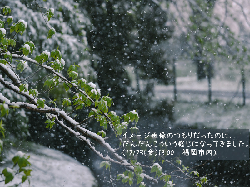福岡市内の雪の様子