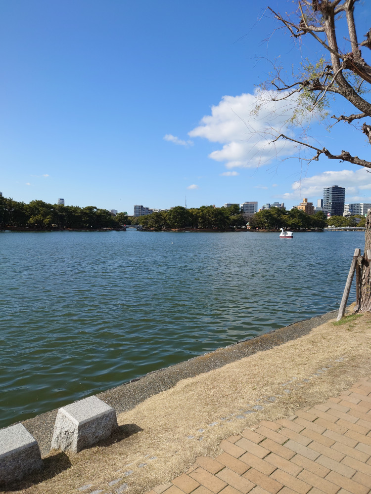 大濠公園のスワンボート