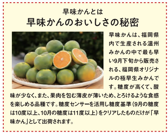 早味かんの美味しさの秘密