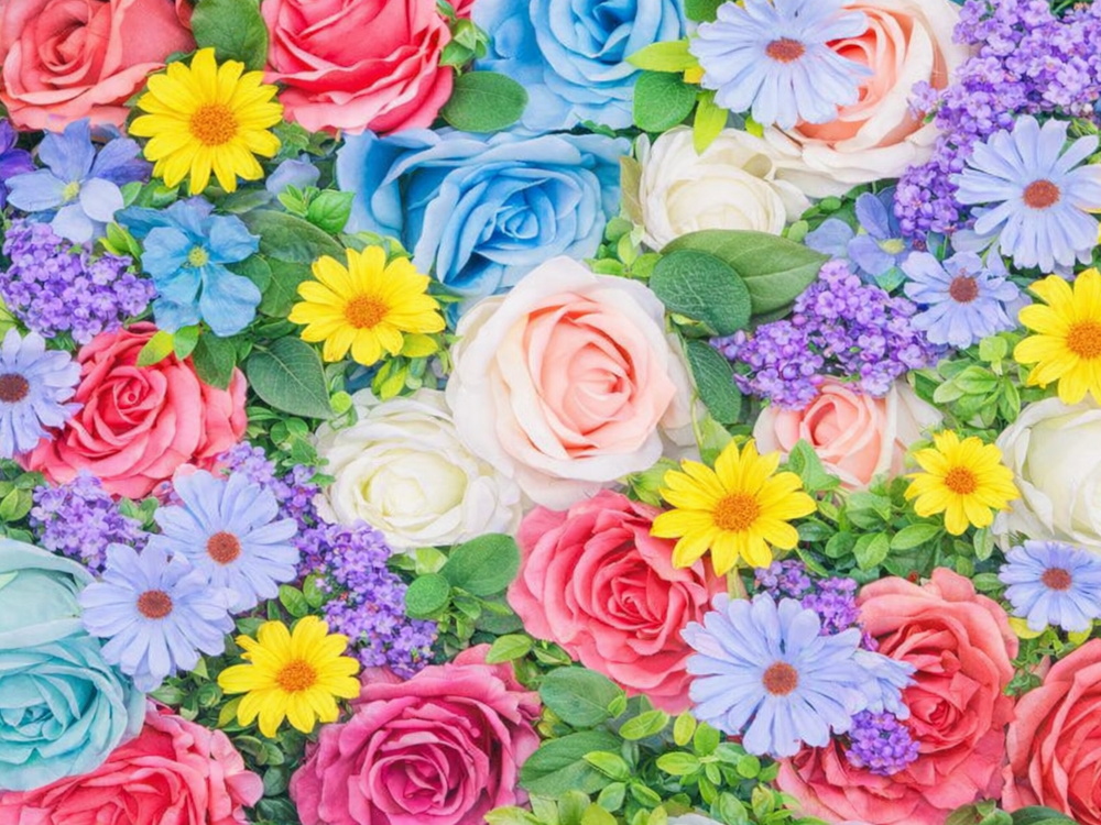 アイキャッチ／花／嵐